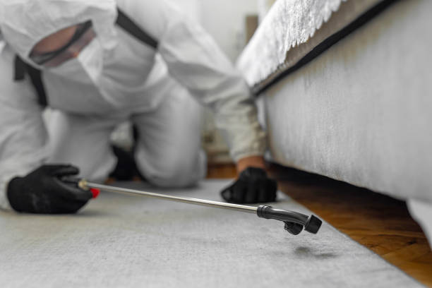 Professional Termite Control technician working in Wright, WY