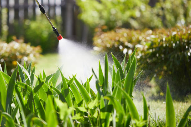 24/7 Emergency Termite Control experts in Wright, WY
